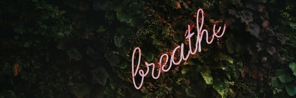 a glowing sign that says breathe among some greenery