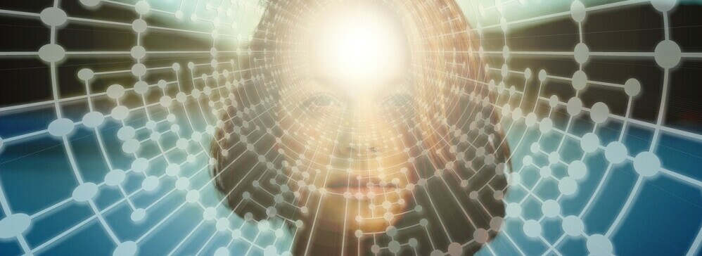 neural pathways
